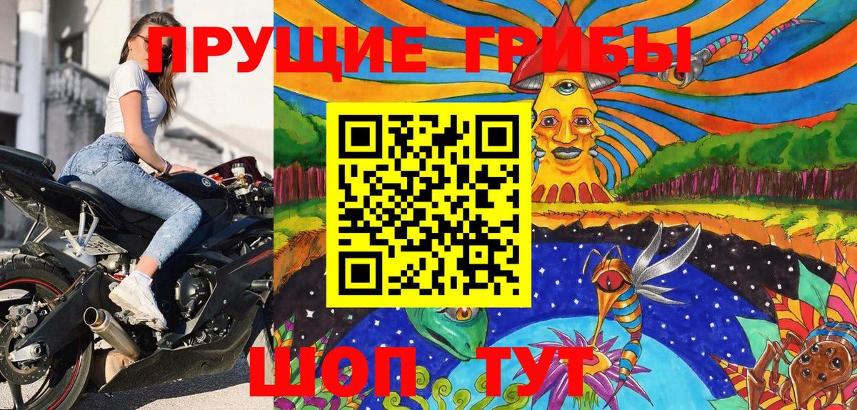 Галлюциногенные грибы прущие грибы  Вход с VPN  Кострома 
