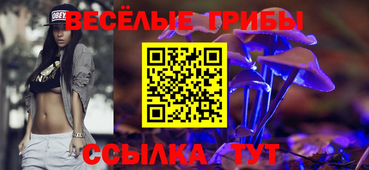 Галлюциногенные грибы Cubensis Кострома